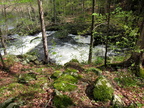IMG 4614
